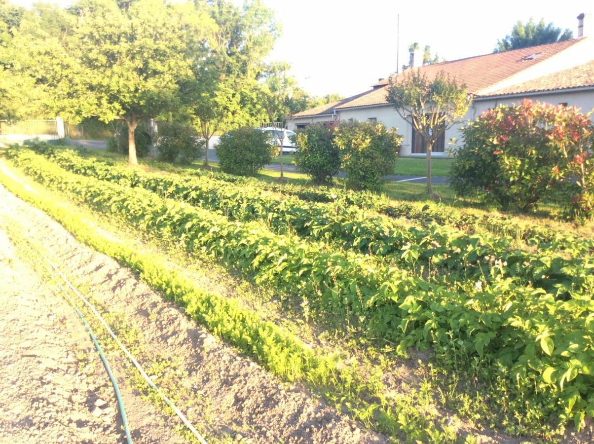 Gite Du Puy De L'Etang Laruscade Εξωτερικό φωτογραφία